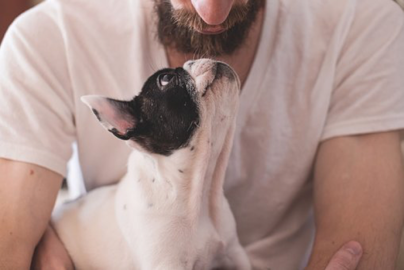 5 Helpful Tips to Stop Unwanted Barking