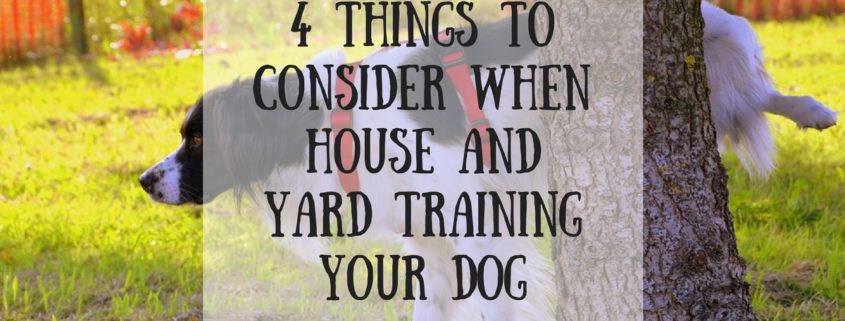 4 Things to Consider When House and Yard Training Your Dog