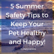 5 Summer Safety Tips to Keep Your Pet Healthy and Happy!