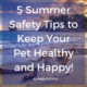 5 Summer Safety Tips to Keep Your Pet Healthy and Happy!