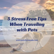 Stress Free Traveling with Pets