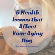 5 Health Issues affecting your Aging Dog